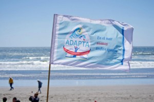 296343_10150320983686932_16771464_n_0